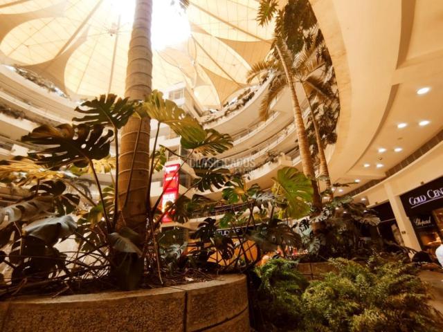 Locales y Bodegas, Venta en Multicentro