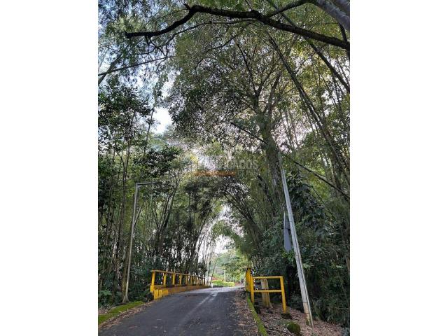 Lotes, Venta en Jamundí