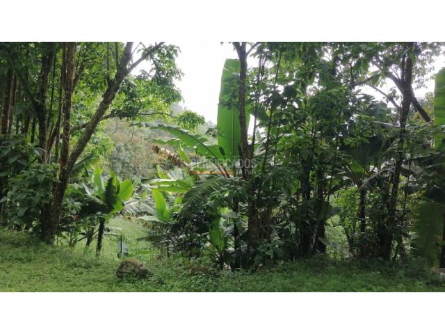 Lotes, Venta en Yumbo