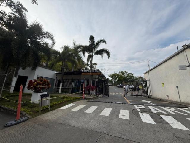 Apartamentos, Alquiler en Meléndez