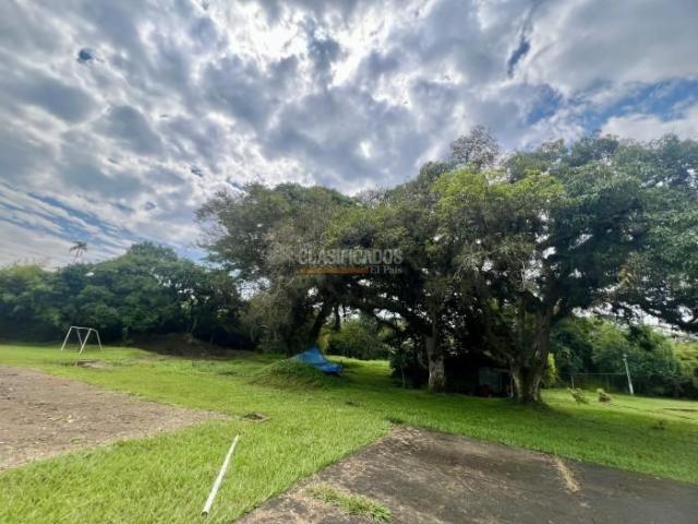 Lotes, Venta en La Buitrera