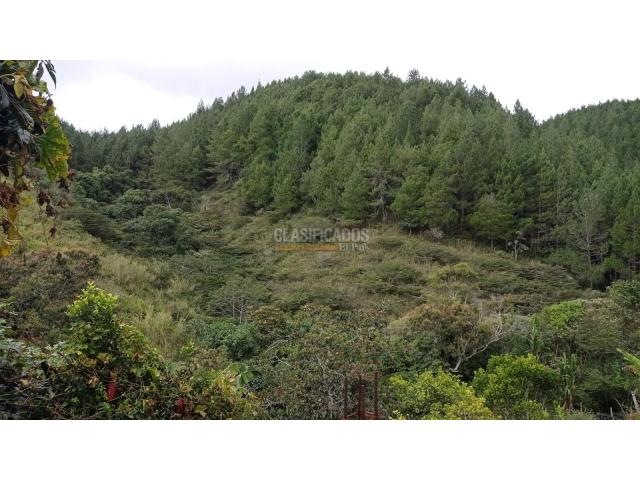 Fincas y Casas Campestres, Venta en Dagua