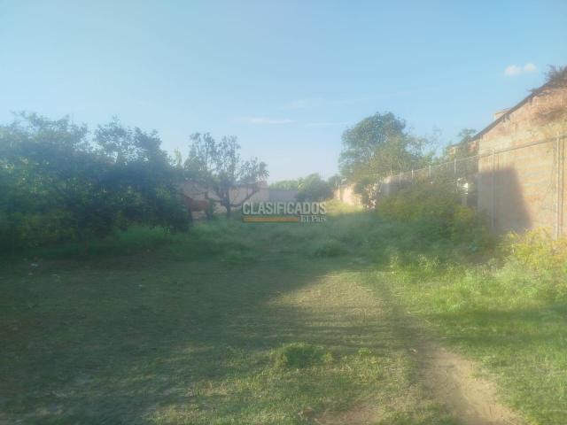 Lotes, Venta en Palmira