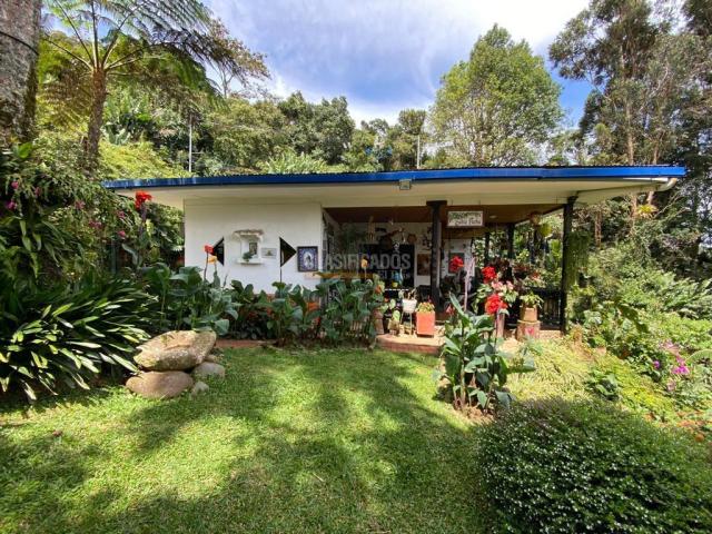 Fincas y Casas Campestres, Venta en Saladito