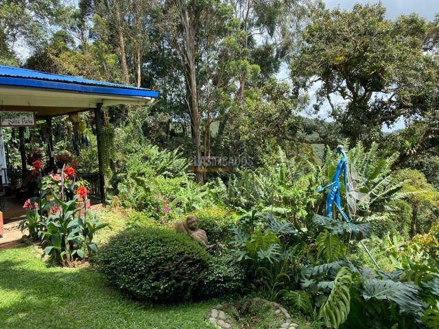 Fincas y Casas Campestres, Venta en Saladito