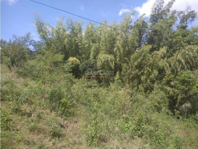 Lotes, Venta en Dapa