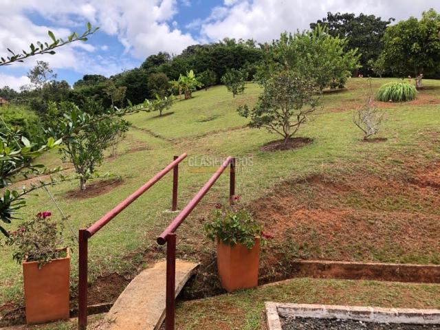 Fincas y Casas Campestres, Venta en Dagua