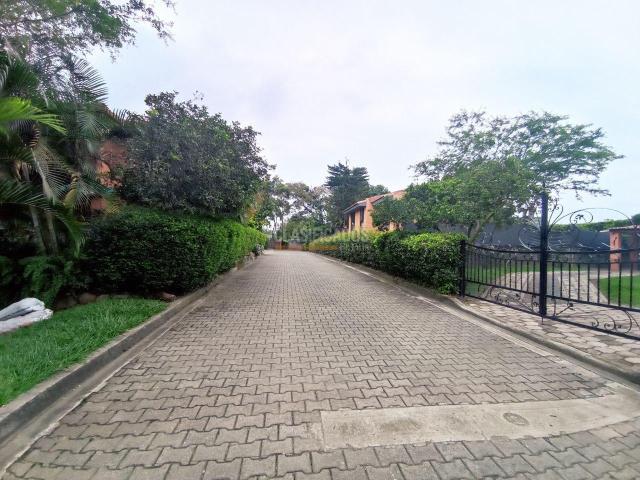 Casas, Alquiler en Pance