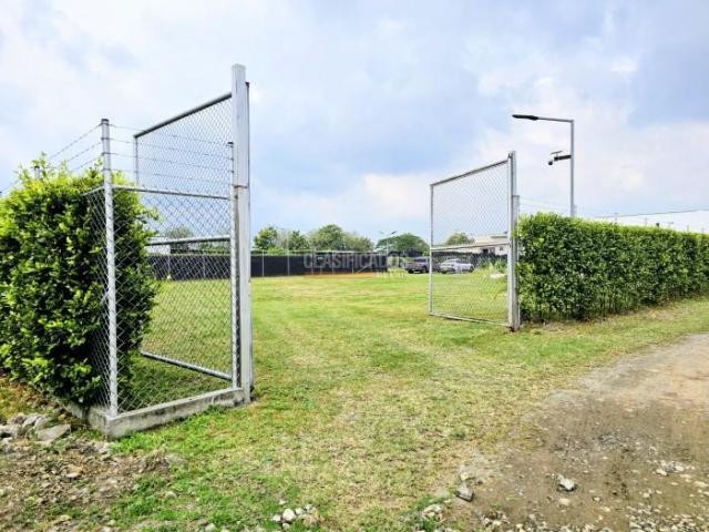 Lotes, Venta en Palmira