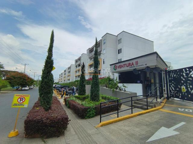 Apartamentos, Alquiler en Ciudad Pacifica