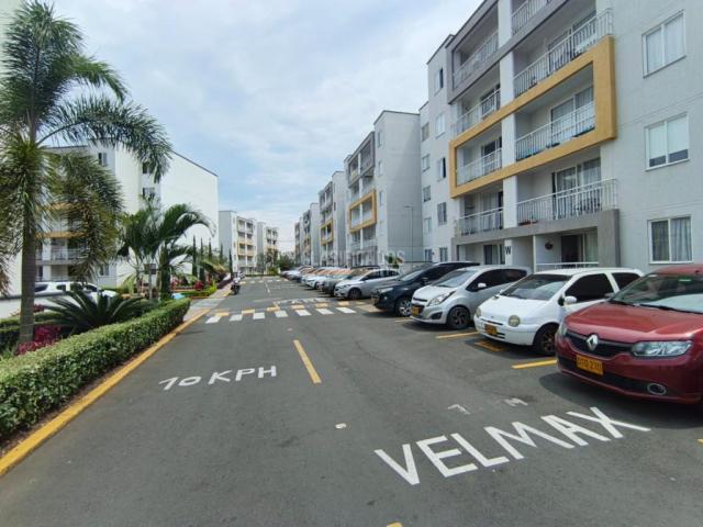 Apartamentos, Alquiler en Ciudad Pacifica