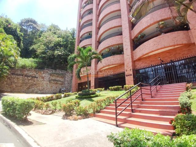 Apartamentos, Alquiler en Granada