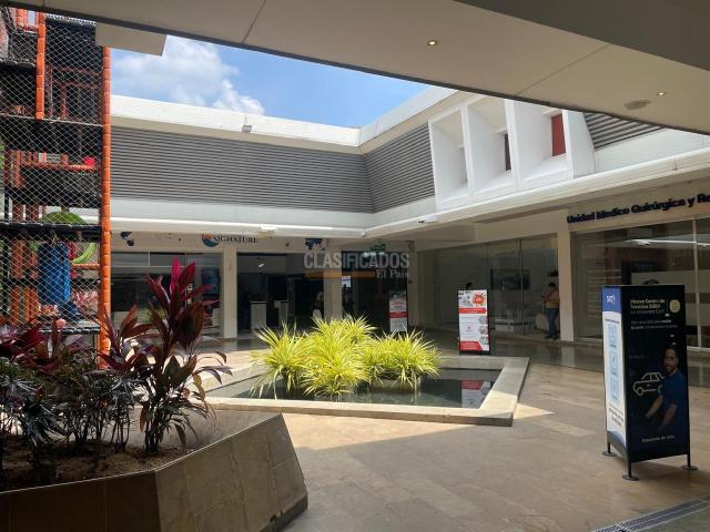 Locales y Bodegas, Alquiler en La Playa