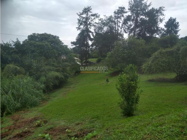 Fincas y Casas Campestres, Venta en Dagua