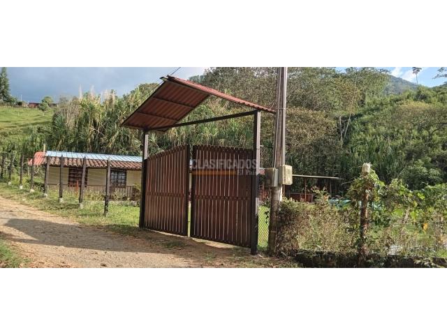 Fincas y Casas Campestres, Venta en Tuluá