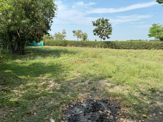 Fincas y Casas Campestres, Venta en Candelaria