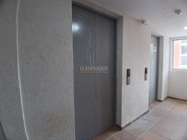 Apartamentos, Alquiler en Bellavista