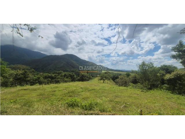 Lotes, Venta en Palmira