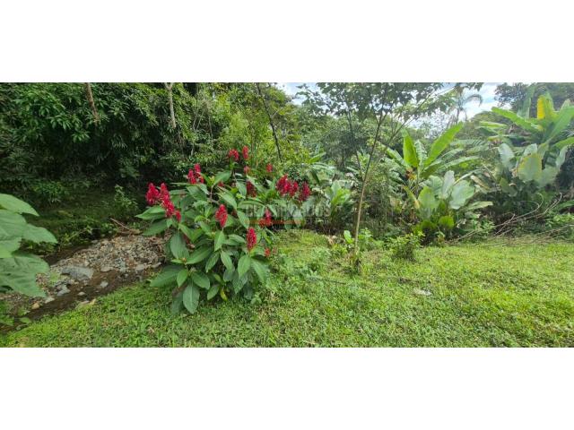 Lotes, Venta en Palmira