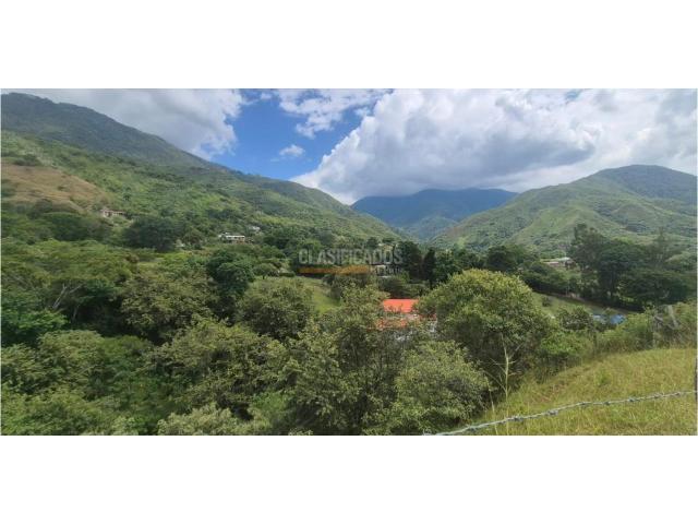 Lotes, Venta en Palmira