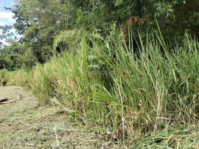 Lotes, Venta en Pereira