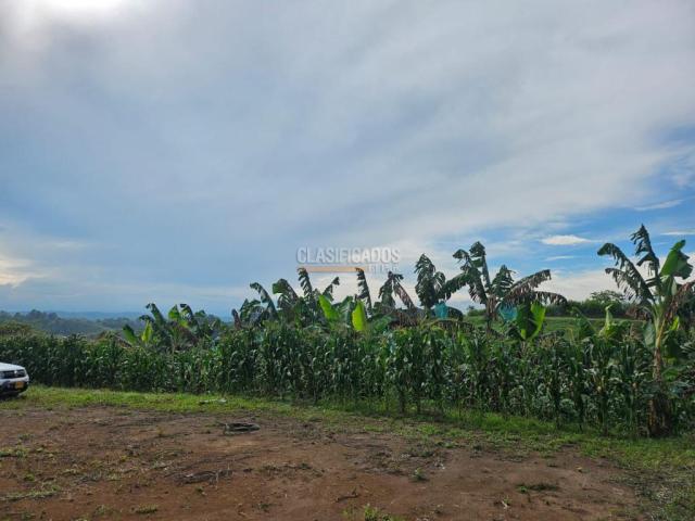 Lotes, Venta en Pereira