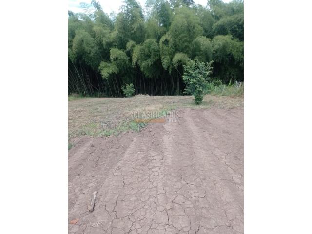 Lotes, Venta en Pereira