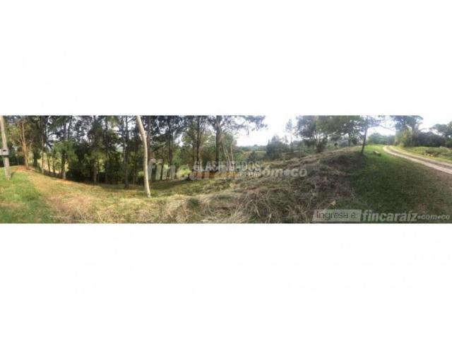 Lotes, Venta en Jamundí