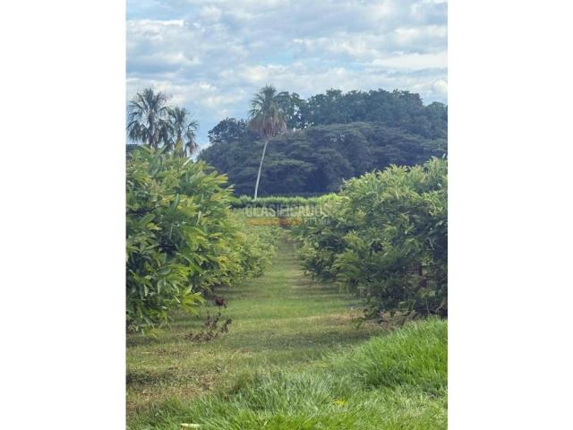 Fincas y Casas Campestres, Venta en La Unión