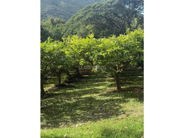 Fincas y Casas Campestres, Venta en La Unión