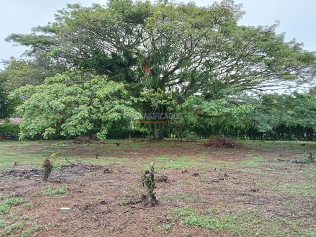 Lotes, Venta en Jamundí