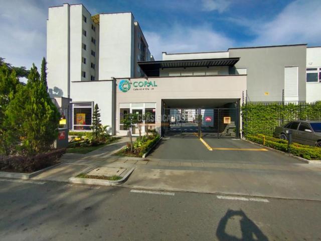 Apartamentos, Alquiler en Ciudad Pacifica