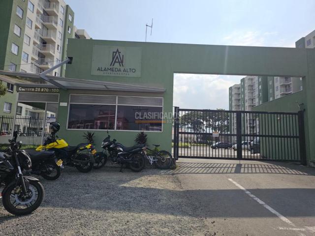 Apartamentos, Alquiler en Palmira