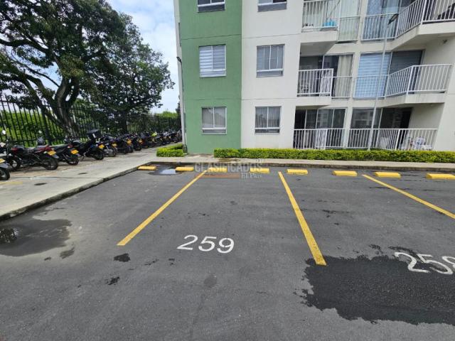 Apartamentos, Alquiler en Palmira