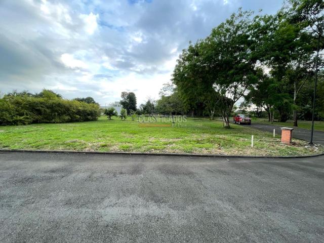 Lotes, Venta en Jamundí