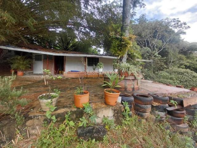 Lotes, Venta en La Buitrera