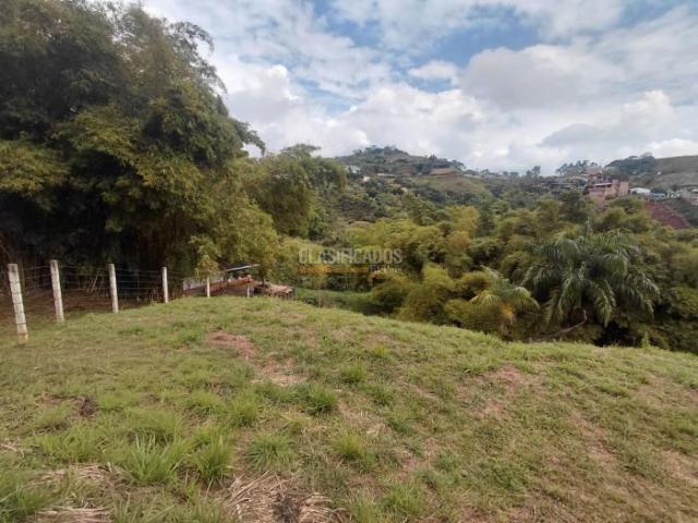 Lotes, Venta en La Buitrera