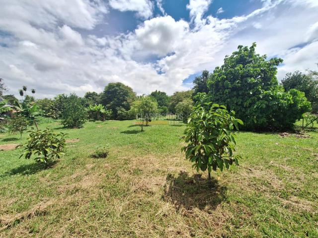 Lotes, Venta en Ginebra