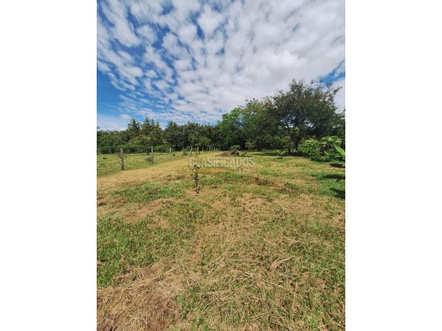 Lotes, Venta en Ginebra