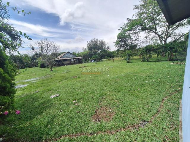 Lotes, Venta en Ginebra