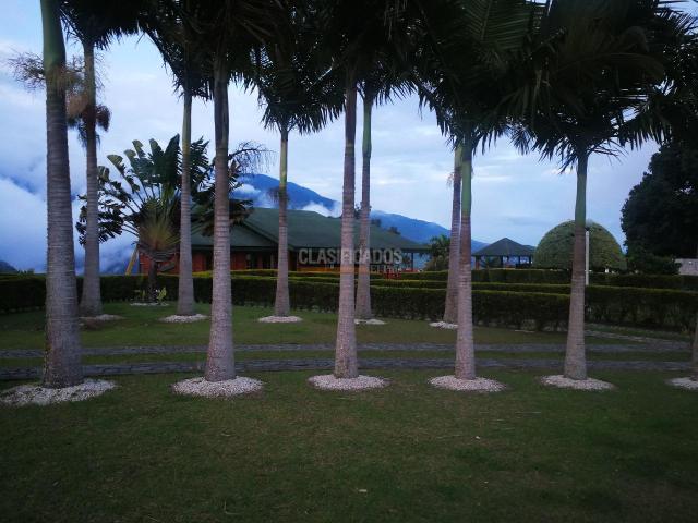 Fincas y Casas Campestres, Venta en Calima (Darién)