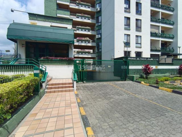 Apartamentos, Alquiler en Puente Palma