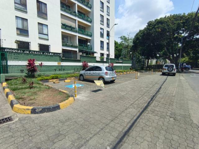 Apartamentos, Alquiler en Puente Palma