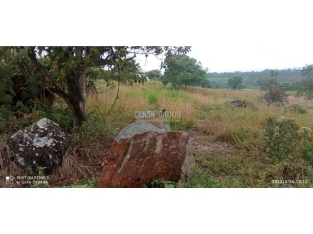 Lotes, Venta en Pance