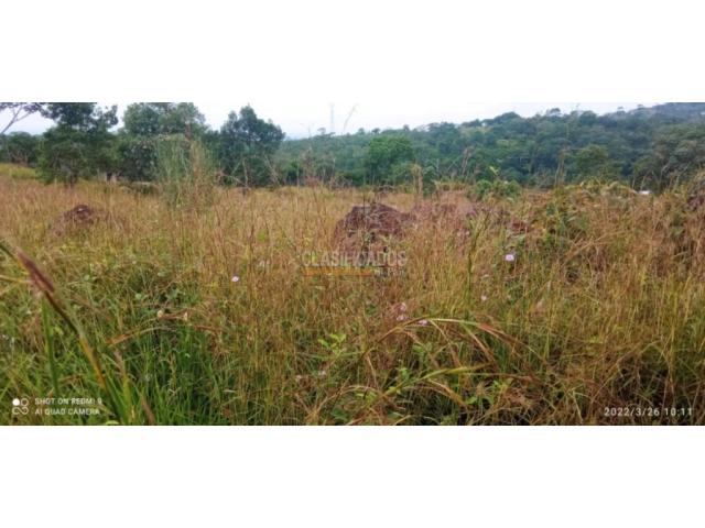 Lotes, Venta en Pance