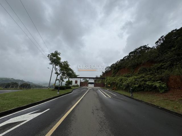 Lotes, Venta en Pance