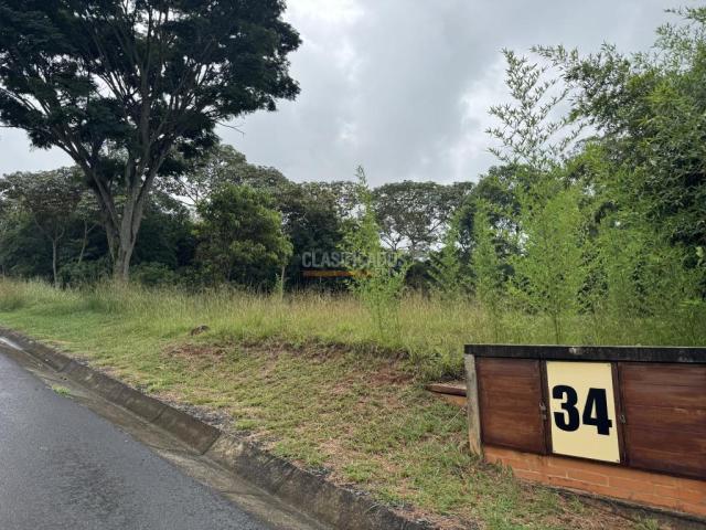 Lotes, Venta en Pance