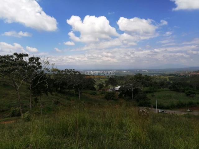 Lotes, Venta en Pance