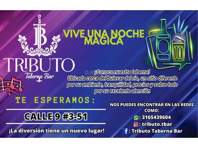 Oportunidad venta taberna bar