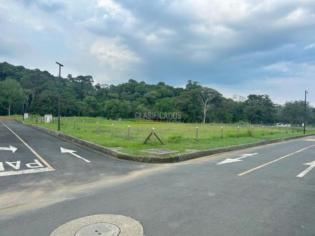 Lotes, Venta en Pance